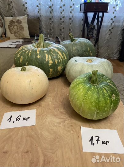 Тыква желтая зеленая