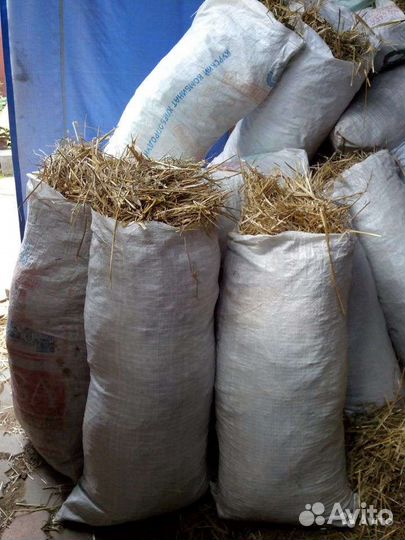 Солома пшеничная в мешках