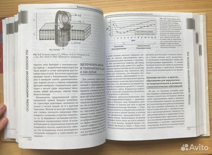 Книга микробиология И иммунология для стоматологов