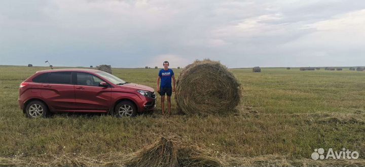 Сено в тюках и рулонах