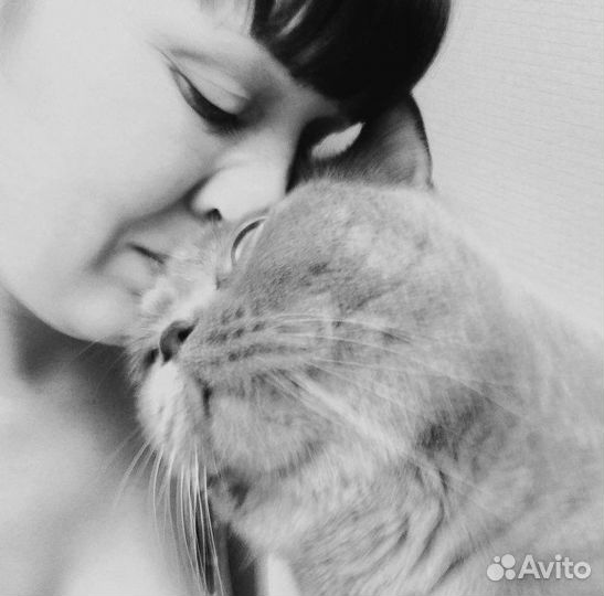 Зооняня/ котоняня/догсистер/зоокурорт Люкс