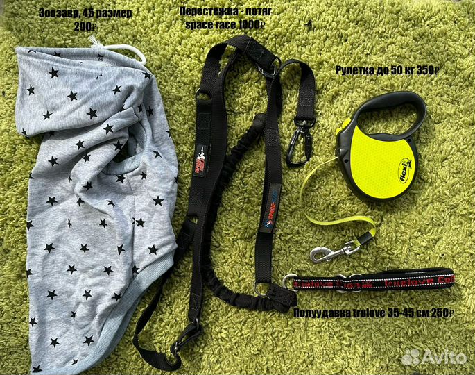 Rukka, рогз, амуниция, одежда для собак