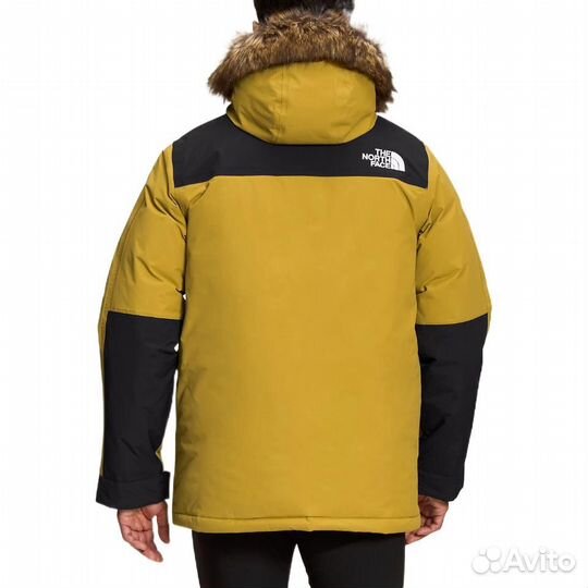 THE north face Jacket Men Yellow (48 (M)