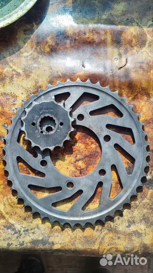 Звезды Kawasaki zx9