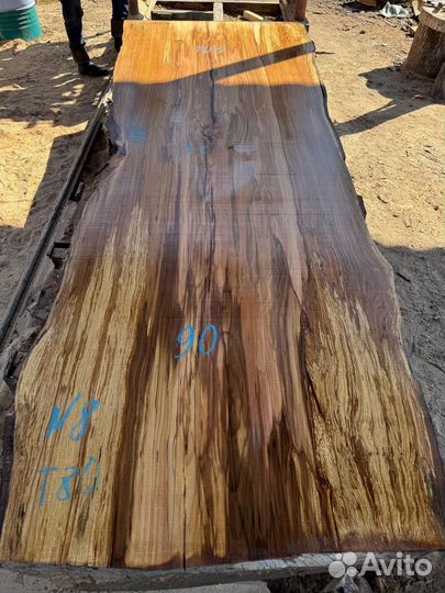 Вековые слэбы мраморного чинара в наличии