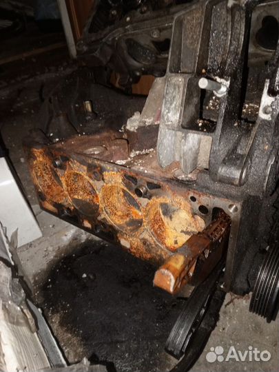 Двигатель ford focus 1 duratec 1.6