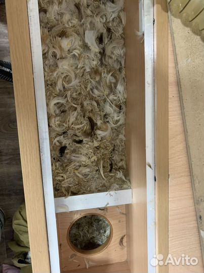 Сухая Чистка подушек