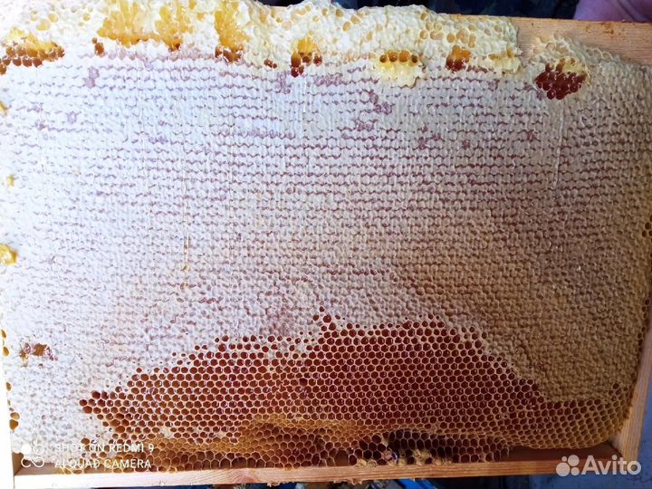 Мед. сбор 2023. Розница и Опт