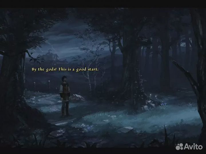 The Dark Eye: Memoria (Steam)