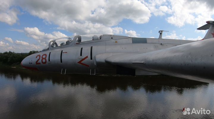 Полет на самолете. Самолет Л 29 Улётный подарок