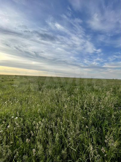 Участок 40 сот. (ИЖС)