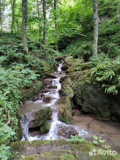 Трансфер минивэн
