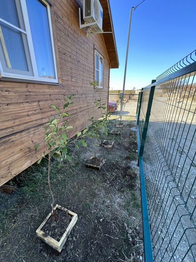 Дом 36 м² на участке 5 сот.