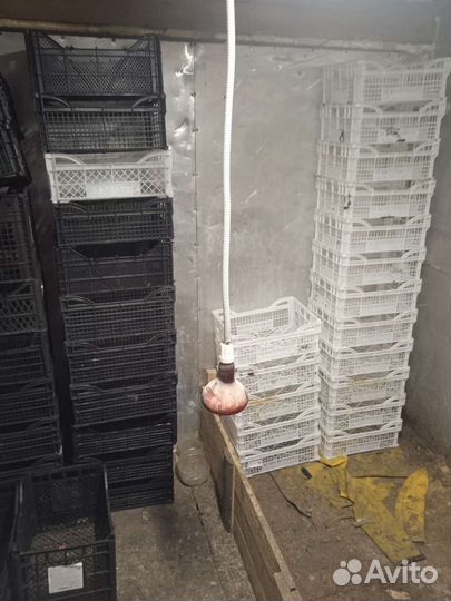 Ящики для овощей, коробки из под бананов (бананки)