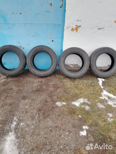 Toyo NP01 215/65 R16
