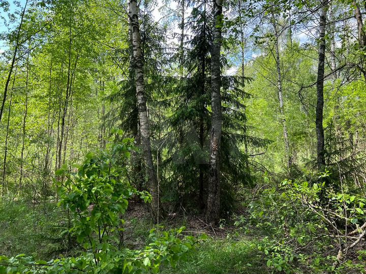 Участок 7,6 сот. (ИЖС)