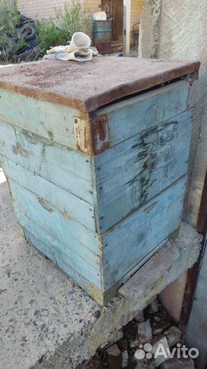 Улья для пчел