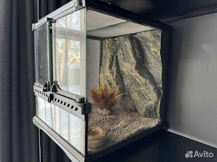 Террариум exo terra