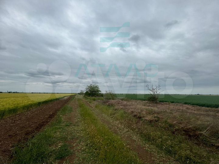 Участок 10 га (СНТ, ДНП)