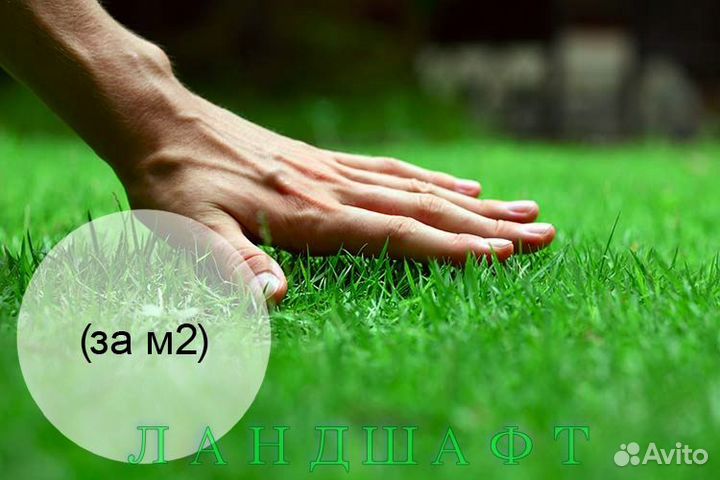 Густой рулонный газон для вашего Электрогорск