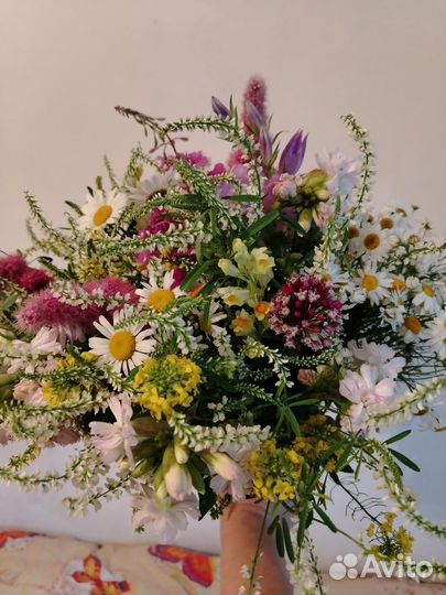 Полевые цветы. Букеты и оптом