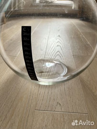 Аквариум на 10 литров