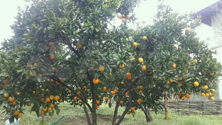 Дом 400 м² на участке 19 сот.