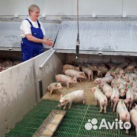 Разнорабочий на ферму вахта