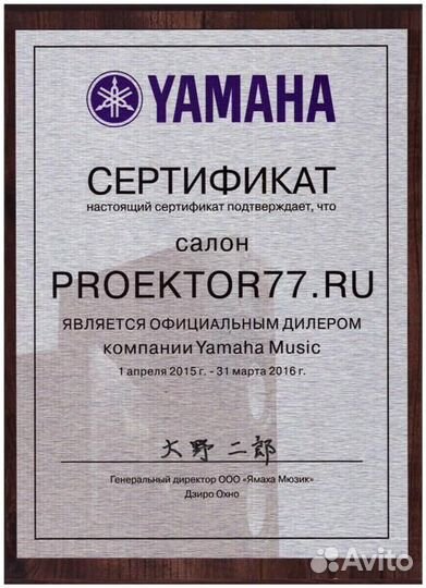 Интегральный усилитель Yamaha A-S501 Black