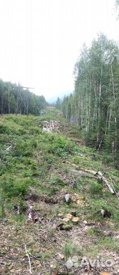 Вальщики и разнорабочие на расширение просеки