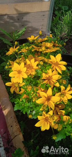 Услуги садовника свердловская область