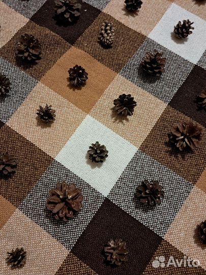 Шишки сосна