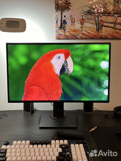 Монитор для персонального компьютера: asus VG27A