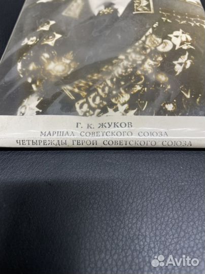 Портрет Жуков