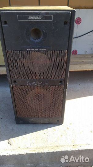 Колонки Вега 50ас 106