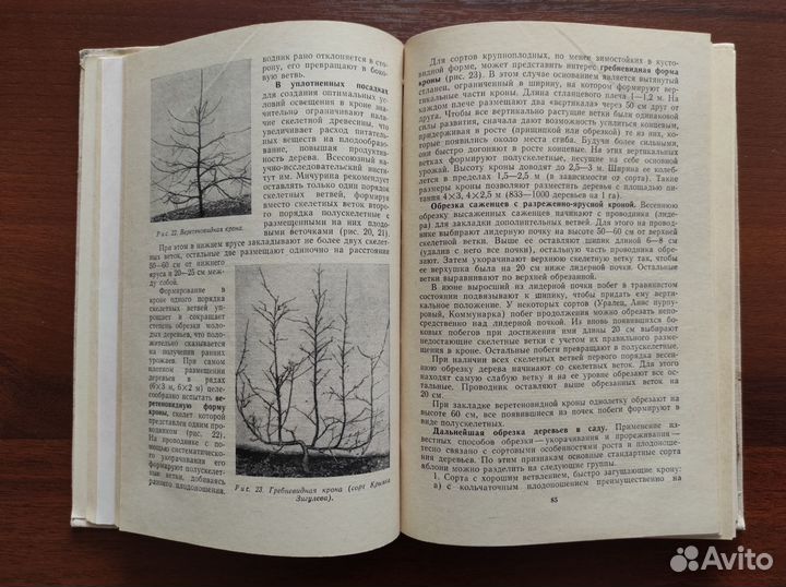 Садоводство Среднего Урала