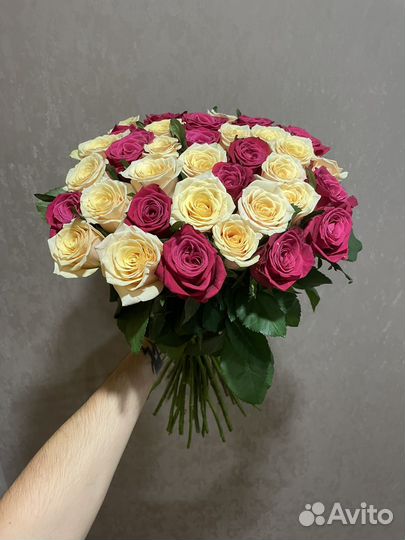 31 роза микс 60 см кремовой и малиновой розы