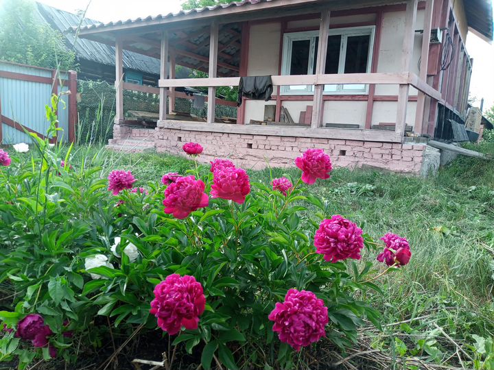 Дача 80 м² на участке 15 сот.