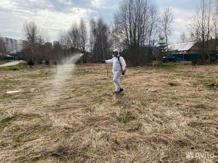 Обработка от клещей