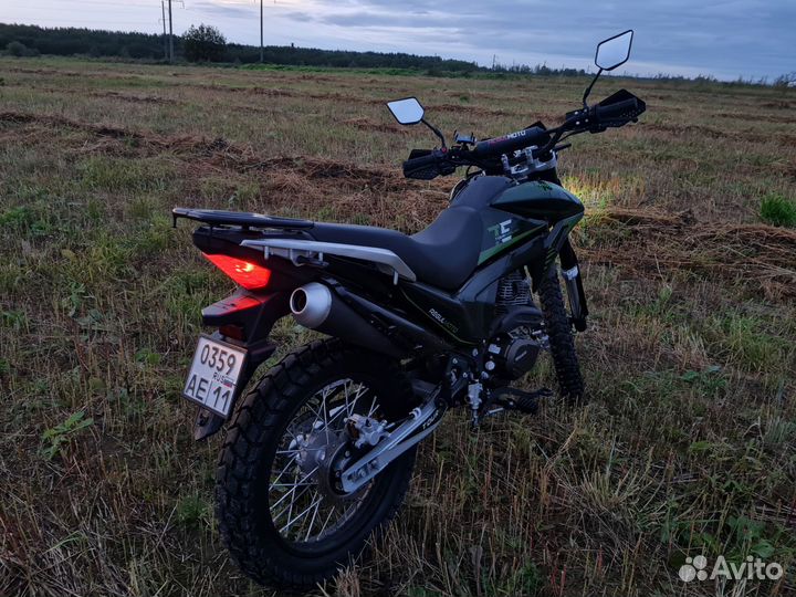 Regulmoto TE 300 2023