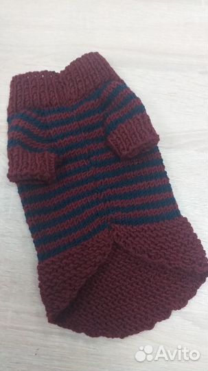 Свитер для маленькой собачки