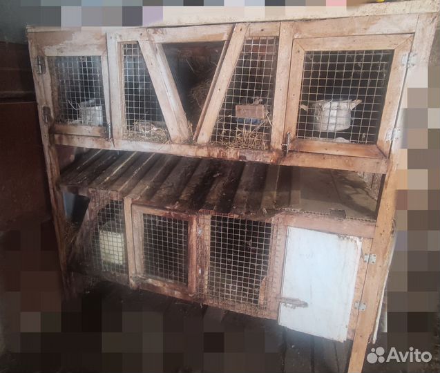 Клетка для кроликов