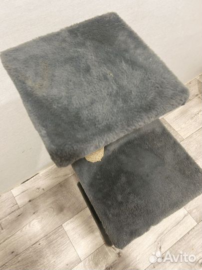 Когтеточка для кошек новая