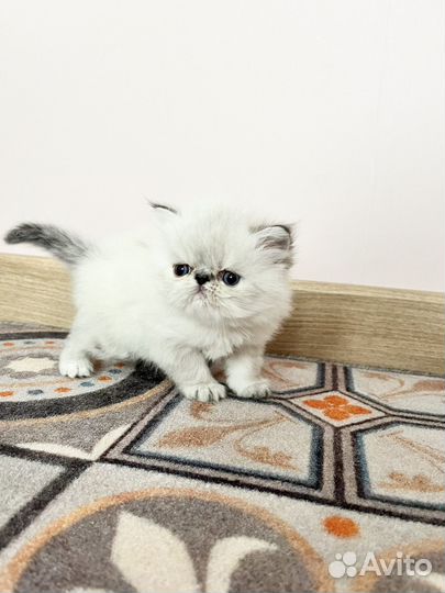 Девочка конфетка