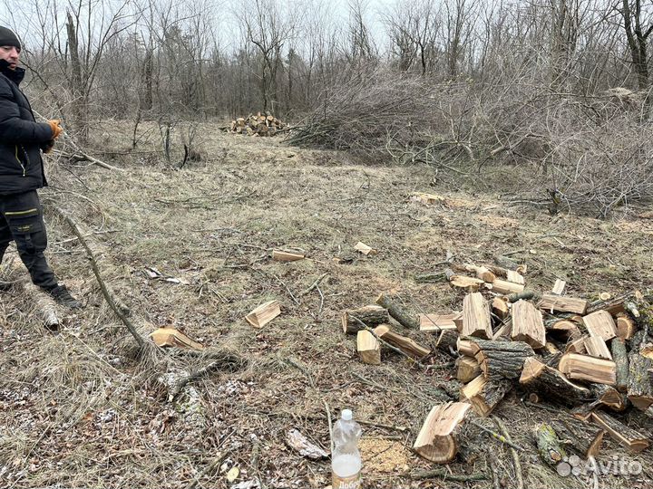 Дрова рубленый твердой породы