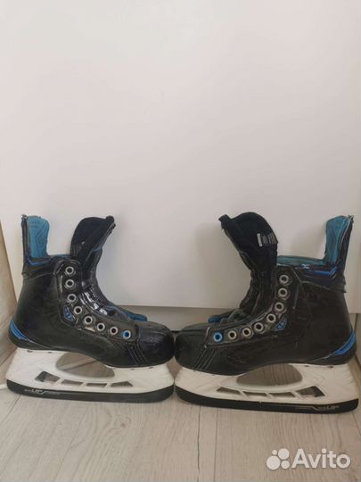 Хоккейные коньки bauer nexus 9000