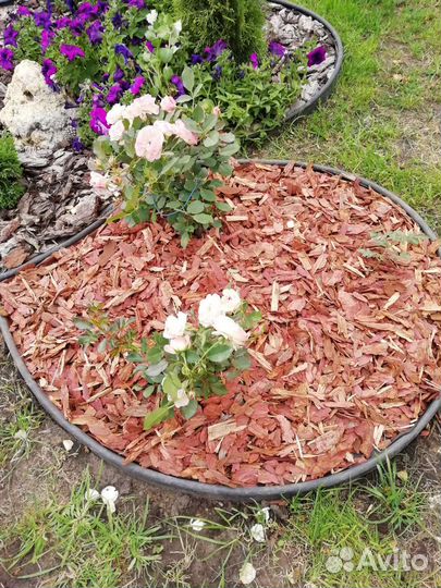 Мульча кора лиственницы