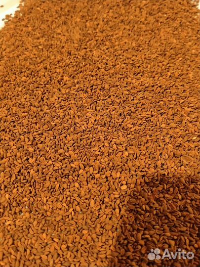 Семена фацелии