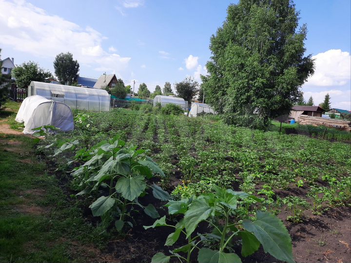 Дача 30 м² на участке 10 сот.