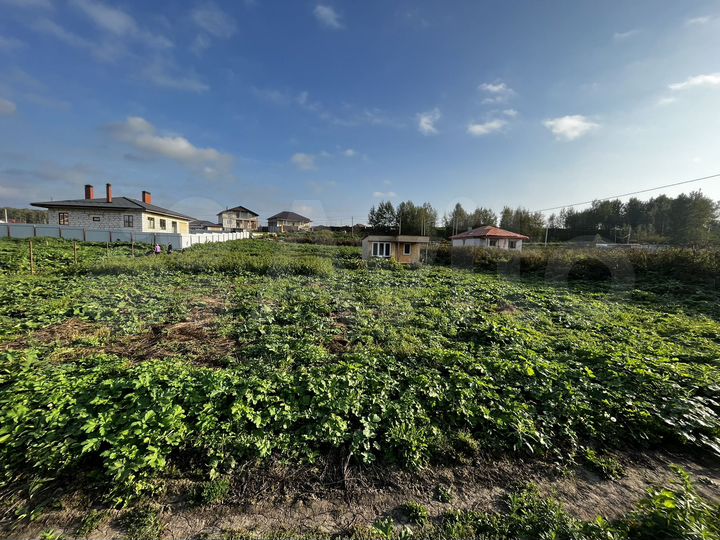 Участок 10 сот. (ИЖС)